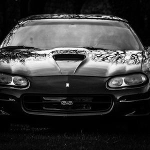 Meet your Posher, Joey